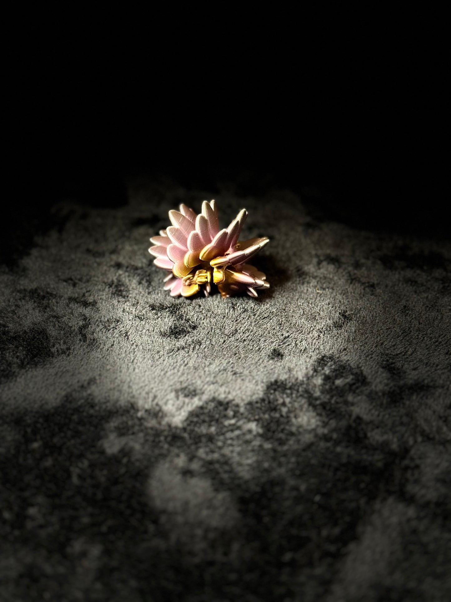 Hedgehog