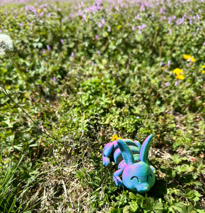 Bunny