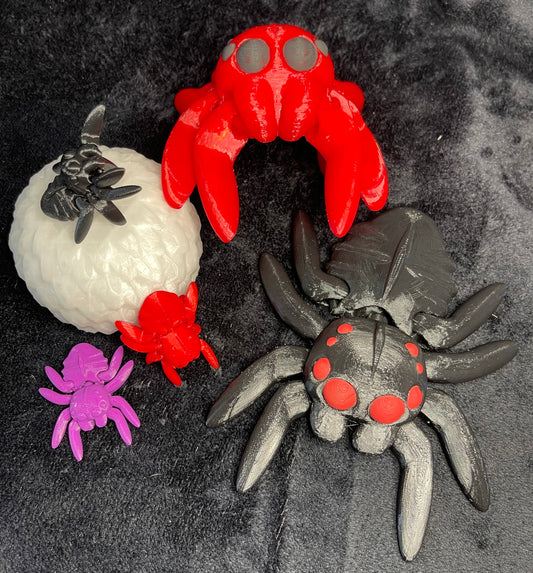 Posing Spider