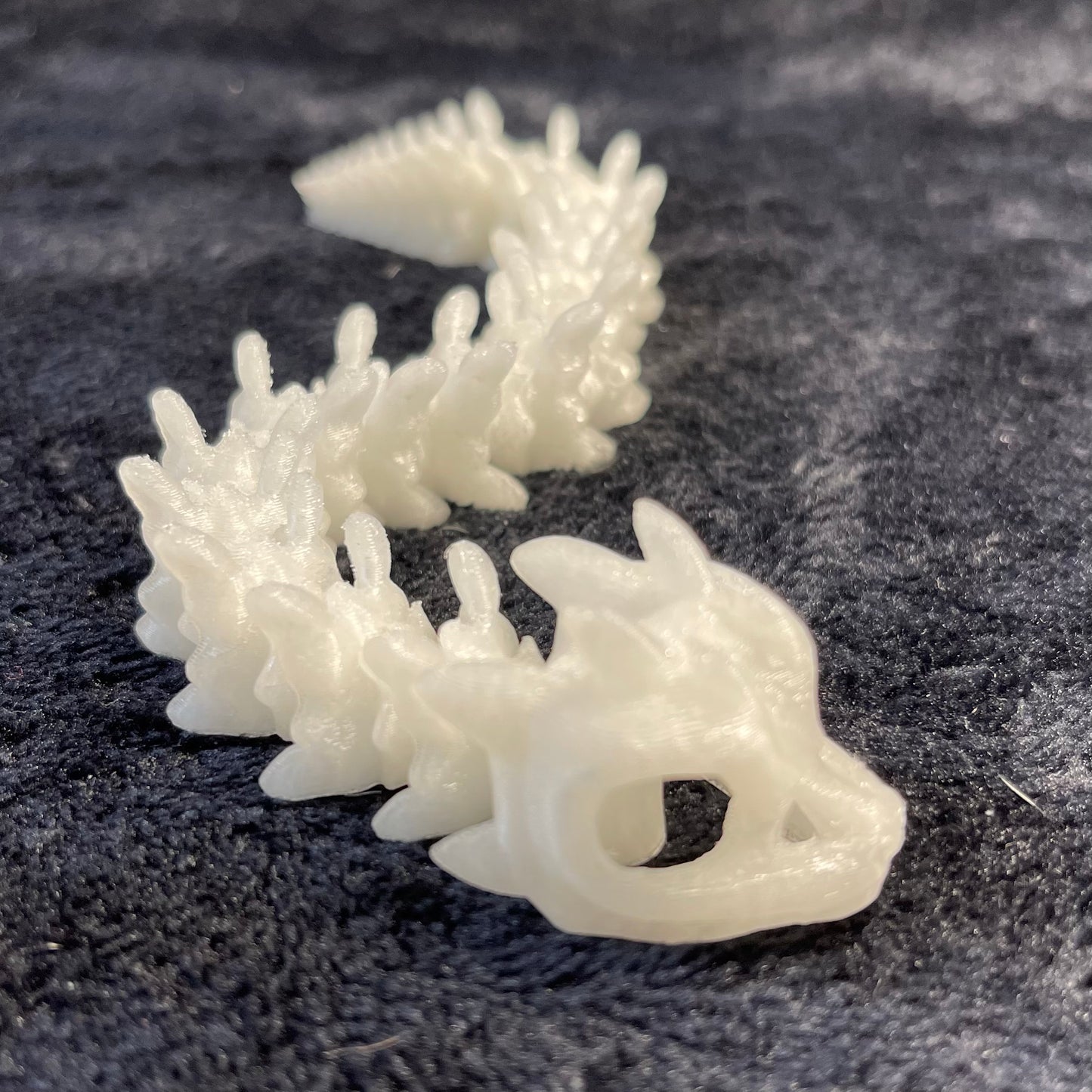 Basilisk Skeleton