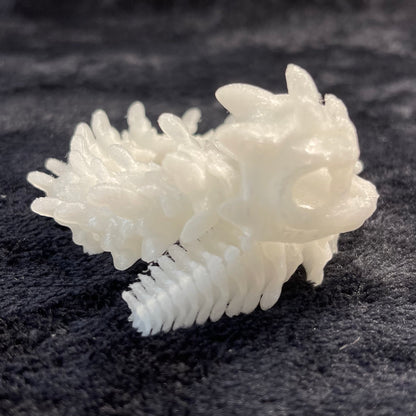 Basilisk Skeleton