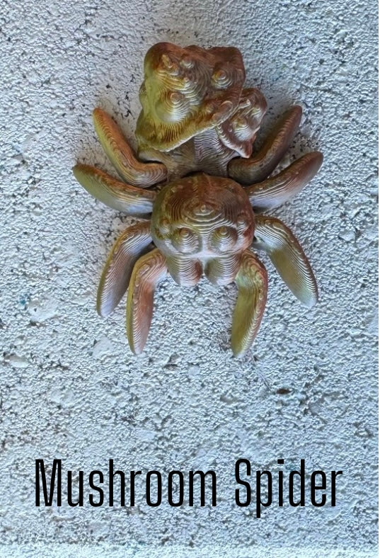 Posing Spider