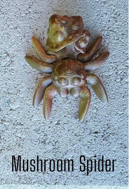 Posing Spider