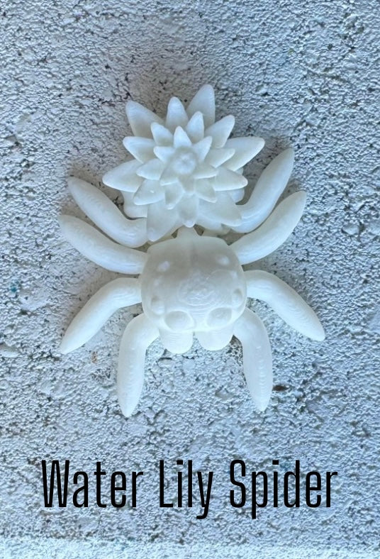 Posing Spider