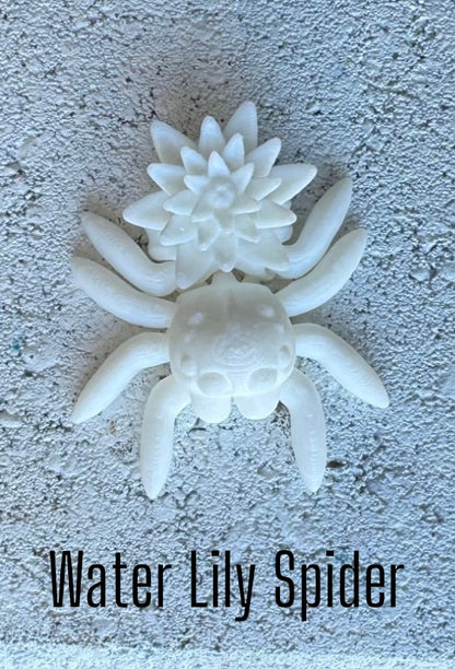Posing Spider
