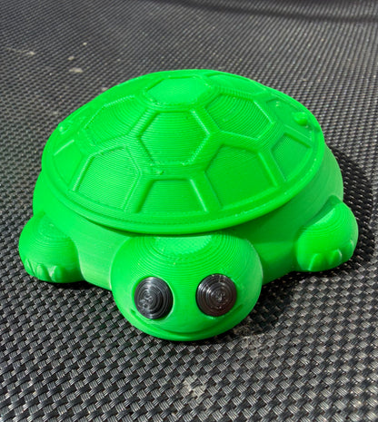 Nostalgic Turtle Sandbox